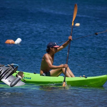 Soufriere Guesthouse Bagian luar foto