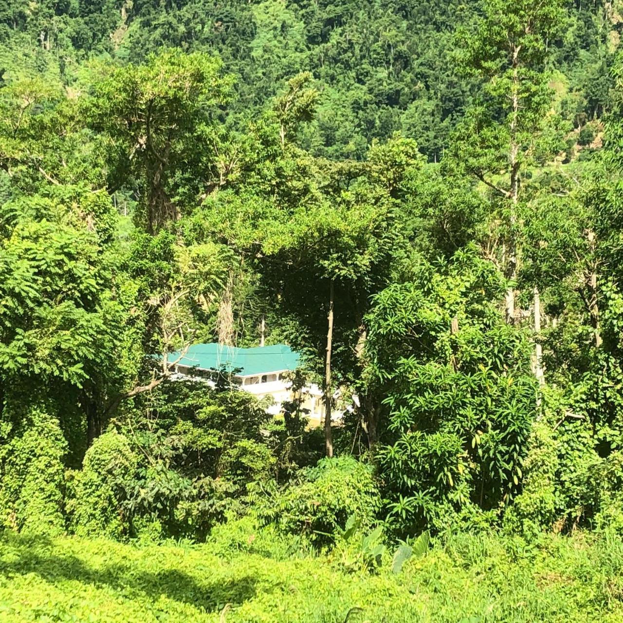Soufriere Guesthouse Bagian luar foto